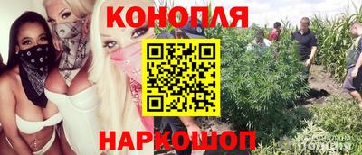 прущая мука Татарск