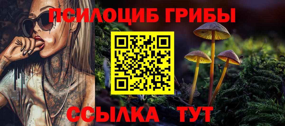 Псилоцибиновые грибы MAGIC MUSHROOMS Новочебоксарск