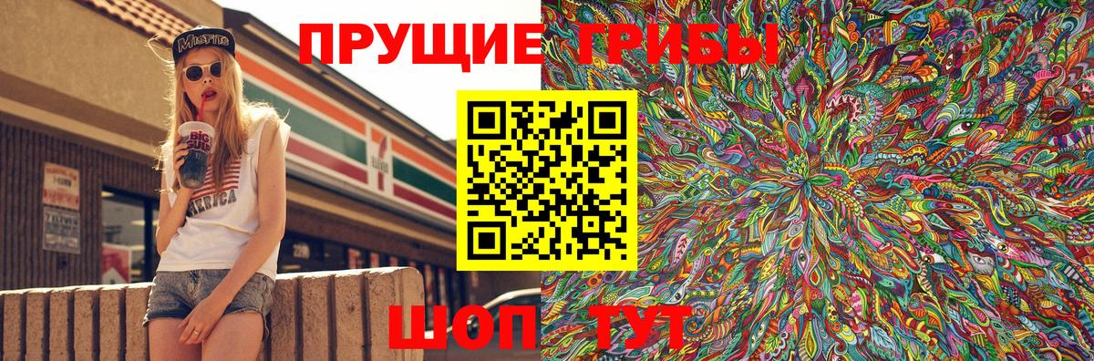 Псилоцибиновые грибы MAGIC MUSHROOMS  Галлюциногенные грибы MAGIC MUSHROOMS  Вход с VPN  Новочебоксарск 